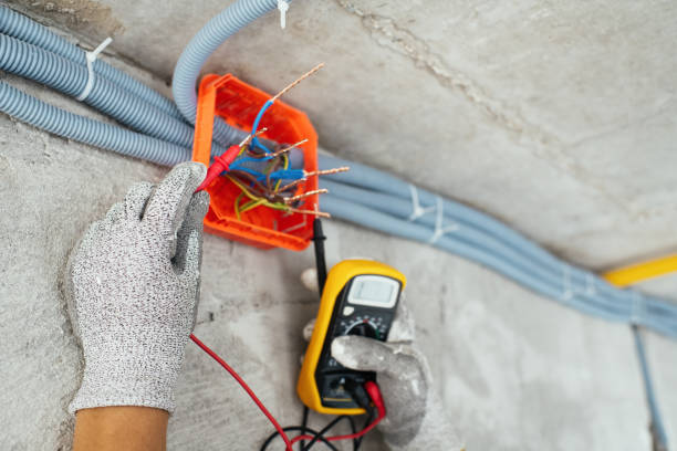 Best Electric Panel Repair  in Sheboygan, WI